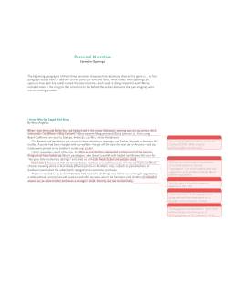Exemplar Openings