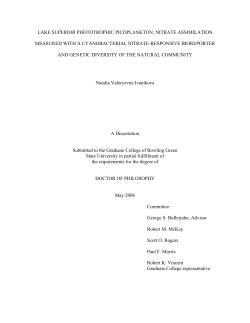 LAKE SUPERIOR PHOTOTROPHIC PICOPLANKTON: NITRATE