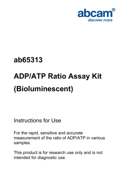 ab65313 ADP/ATP Ratio Assay Kit (Bioluminescent)