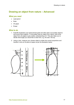 Drawing an object from nature &ndash; Advanced
