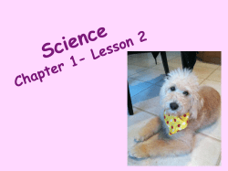 How are organisms classified?