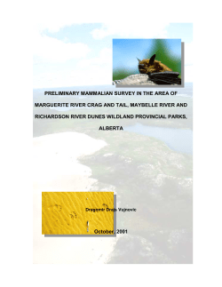 Preliminary mammalian survey