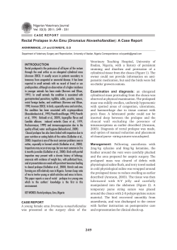 Rectal Prolapse in An Emu (Dromaius Novaehollandiae)