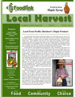 Maple Syrup - Foodlink Waterloo Region