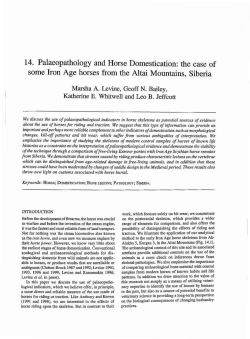 - White Rose Research Online