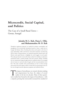 Microcredit, Social Capital, and Politics: The Case of a Small Rural