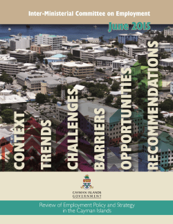 Review of Employment Policy and Strategy in