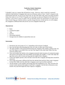 Measure Your Wingspan