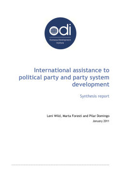 International assistance to political party and party system