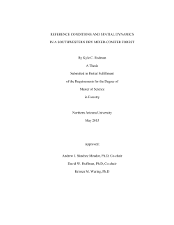 REFERENCE CONDITIONS AND SPATIAL