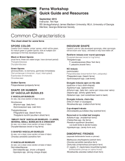Common Characteristics - Georgia Perimeter College Native Plant