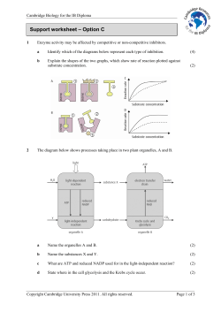 Support worksheet &ndash; Option C - Cambridge Resources for the IB