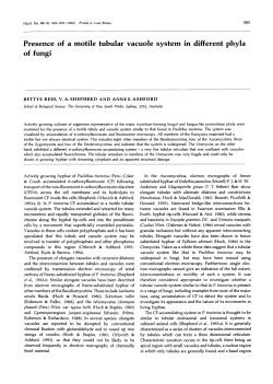 Presence of a motile tubular vacuole system in different phyla of fungi