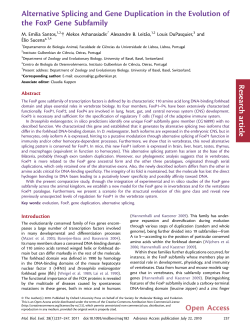 Alternative Splicing and Gene Duplication in the