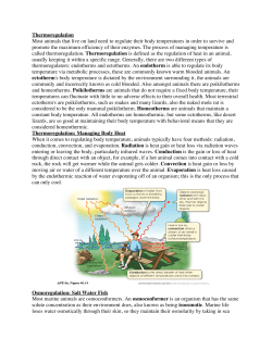 Thermoregulation endotherm Homeotherms