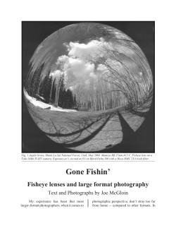 Gone Fishin - The Sub Club