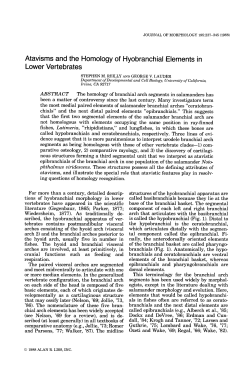 - Wiley Online Library