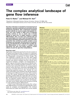 The complex analytical landscape of gene flow inference