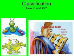 Classification
