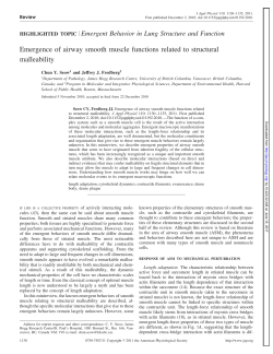 Emergence of airway smooth muscle functions related to structural