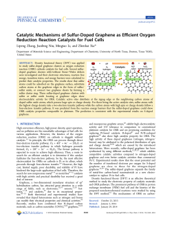Catalytic Mechanisms of Sulfur-Doped Graphene as Efficient