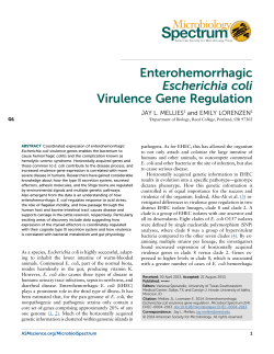 EHEC Virulence Gene Regulation