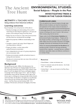 Investigating trees and timber in the tudor period