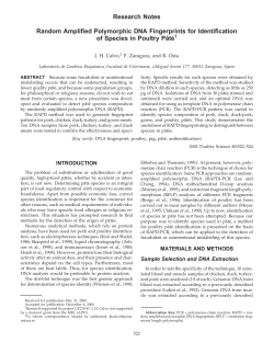 Random Amplified Polymorphic DNA Fingerprints for Identification of