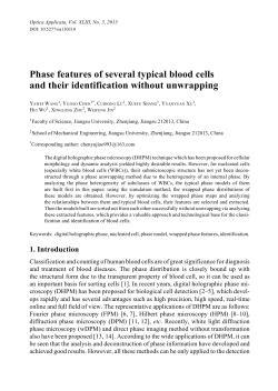 Phase features of several typical blood cells and their identification