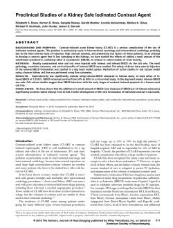 Preclinical Studies of a Kidney Safe Iodinated Contrast Agent