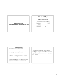 DNA Mismatch Repair - U of L Class Index