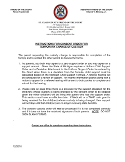 Consent Change of Custody Instructions
