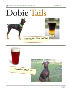 Dobie Tails November 2012 - Doberman Rescue of Nebraska