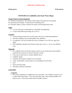 OIMB GK12 CURRICULUM POND BUGS (Caddisflies and Giant