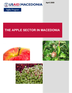 the apple sector in macedonia