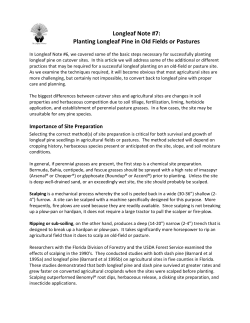 Planting Longleaf Pine in Old Fields or Pastures