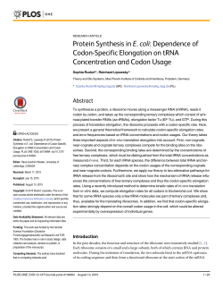 Protein Synthesis in E. coli: Dependence of Codon