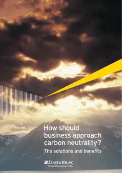 How should business approach carbon neutrality?