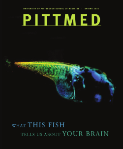 Next Generation - Pitt Med