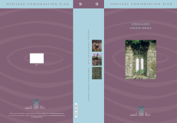 lemanaghan county offaly