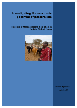 Investigating the economic potential of pastoralism