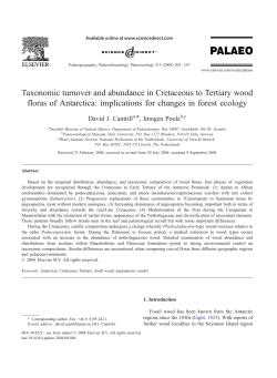 Taxonomic turnover and abundance in Cretaceous to Tertiary wood