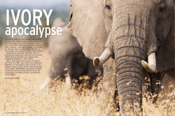 PDF - Elephants Without Borders
