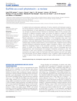 Sulfide as a soil phytotoxin&mdash;a review