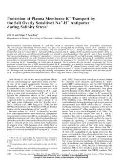 H Antiporter during Salinity Stress