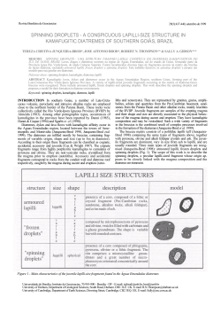 SPINNING DROPLETS - A CONSPICUOUS LAPILLI
