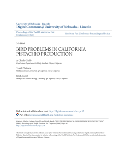 bird problems in california pistachio production