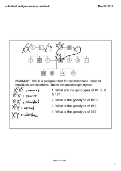colorblind pedigree warmup.notebook