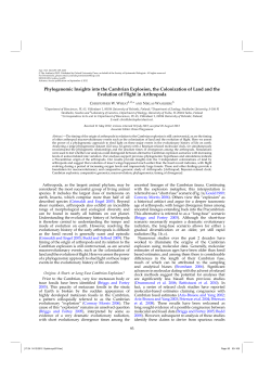 Phylogenomic Insights into the Cambrian