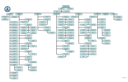 Organizational Chart - Ave Maria University